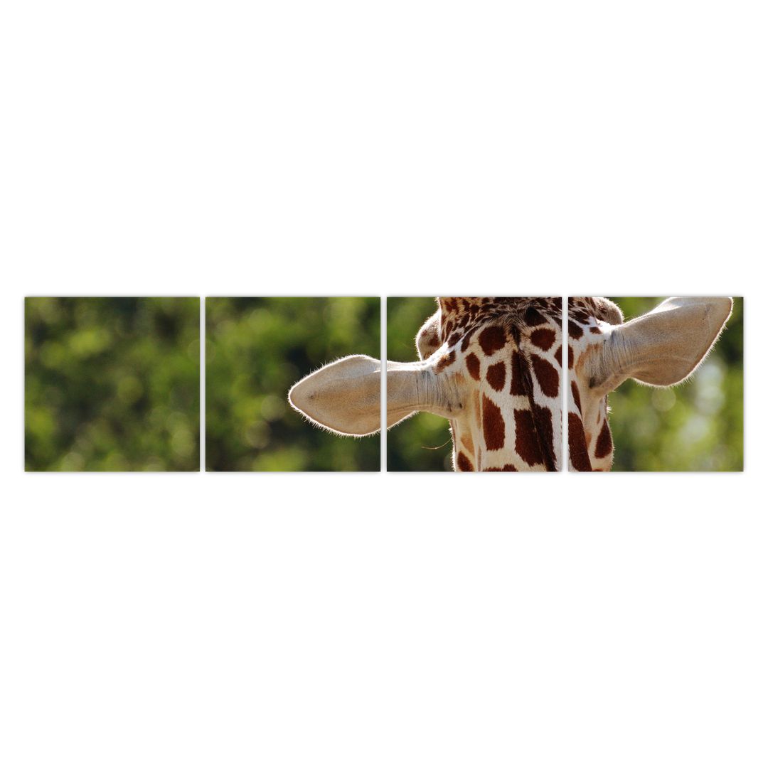 Obraz žirafy zezadu (V020638V16040)