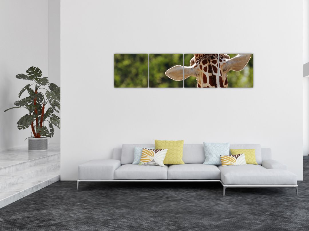 Obraz žirafy zezadu (V020638V16040)
