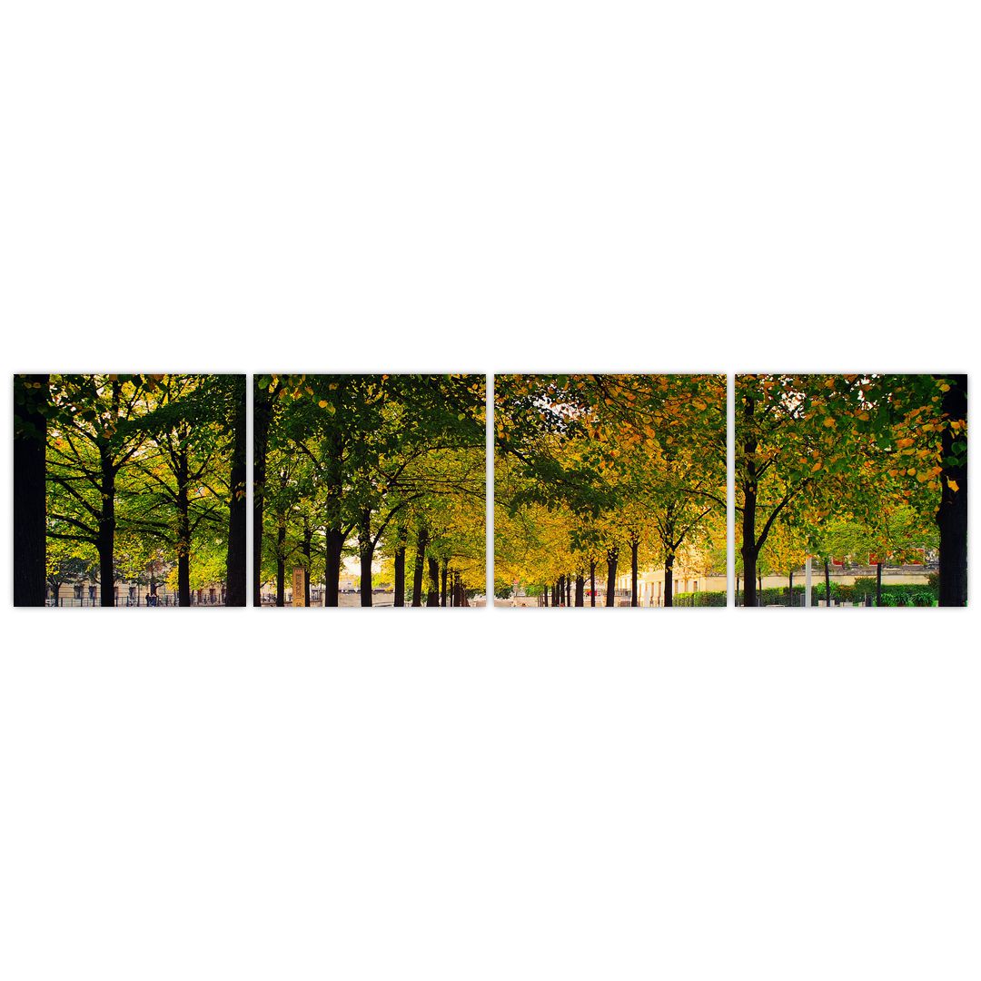Obraz aleje podzimních stromů (V020953V16040)