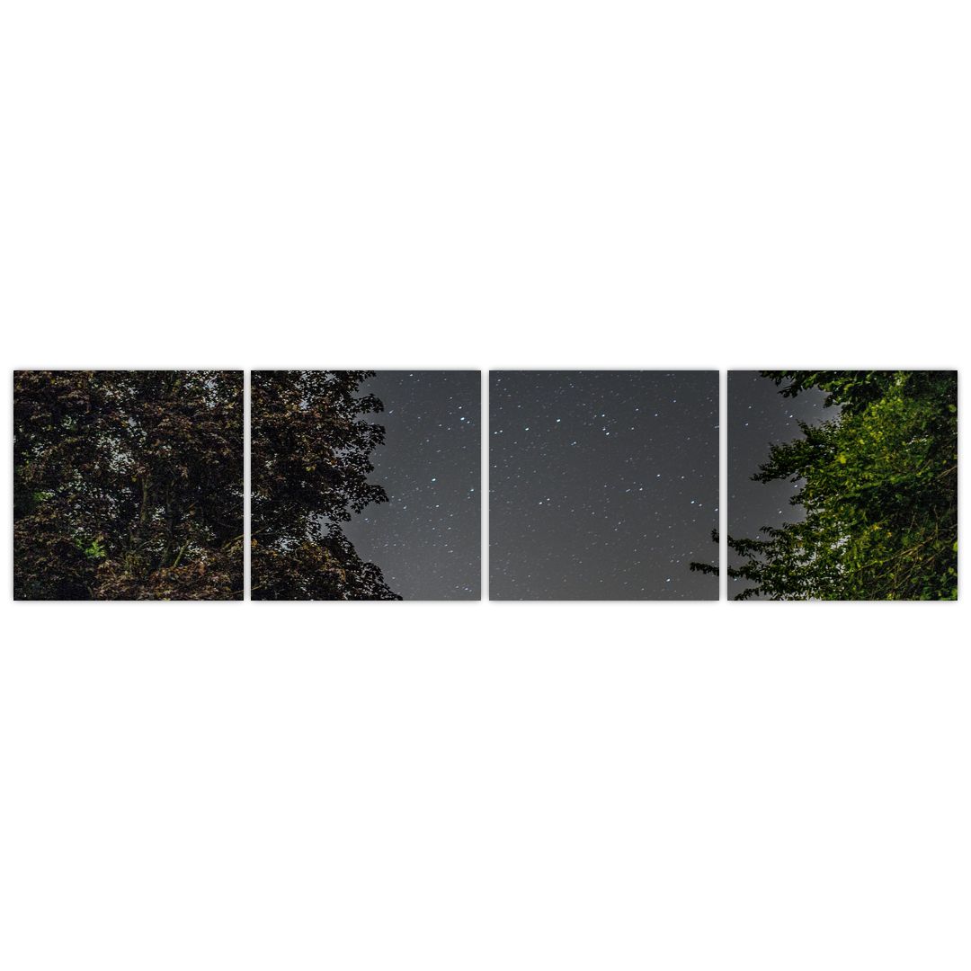 Obraz noční oblohy (V020998V16040)