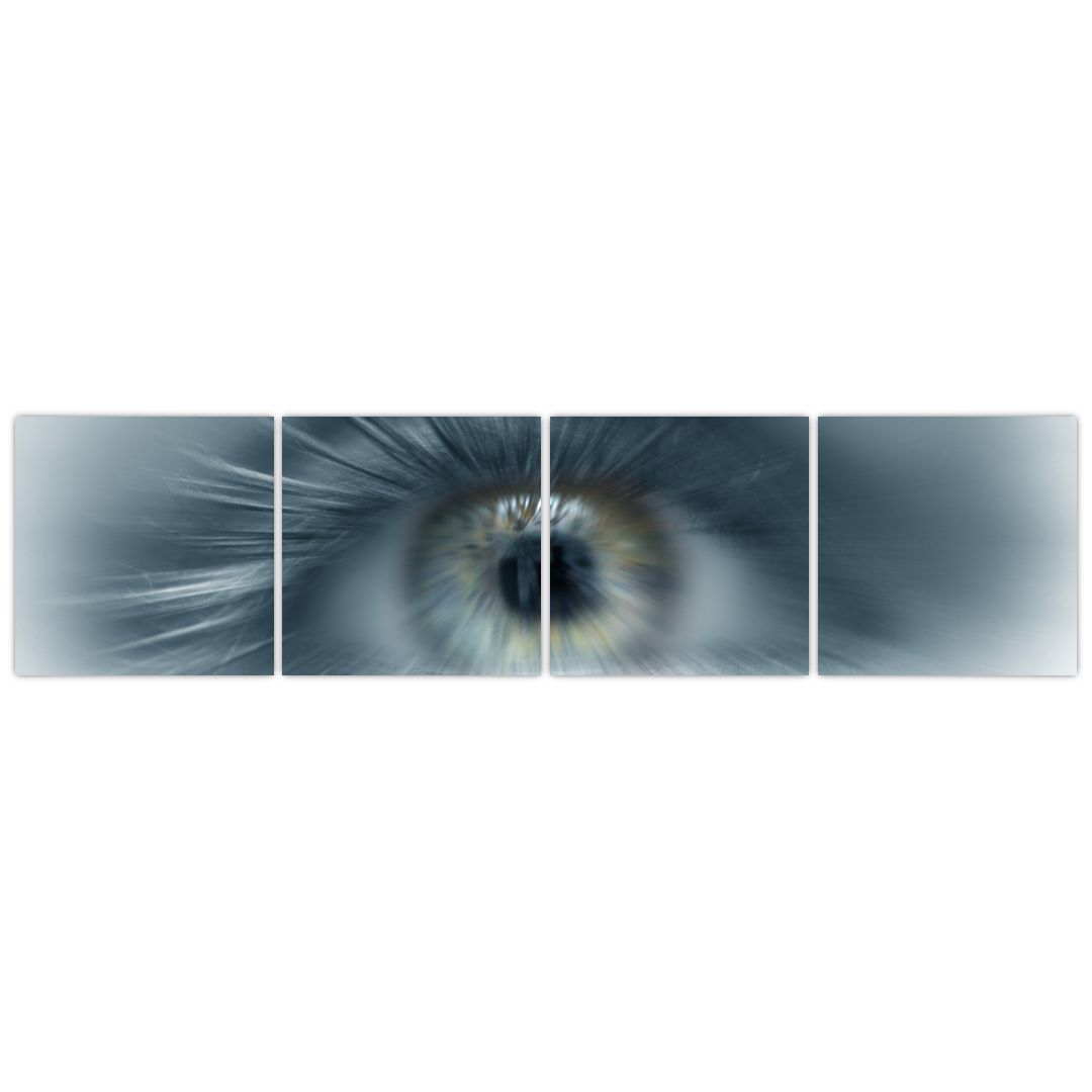 Obraz  - Pohled oka (V022319V16040)