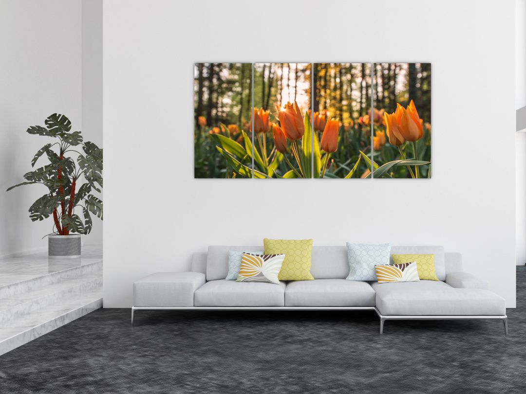 Obraz - oranžové tulipány (V020552V16080)