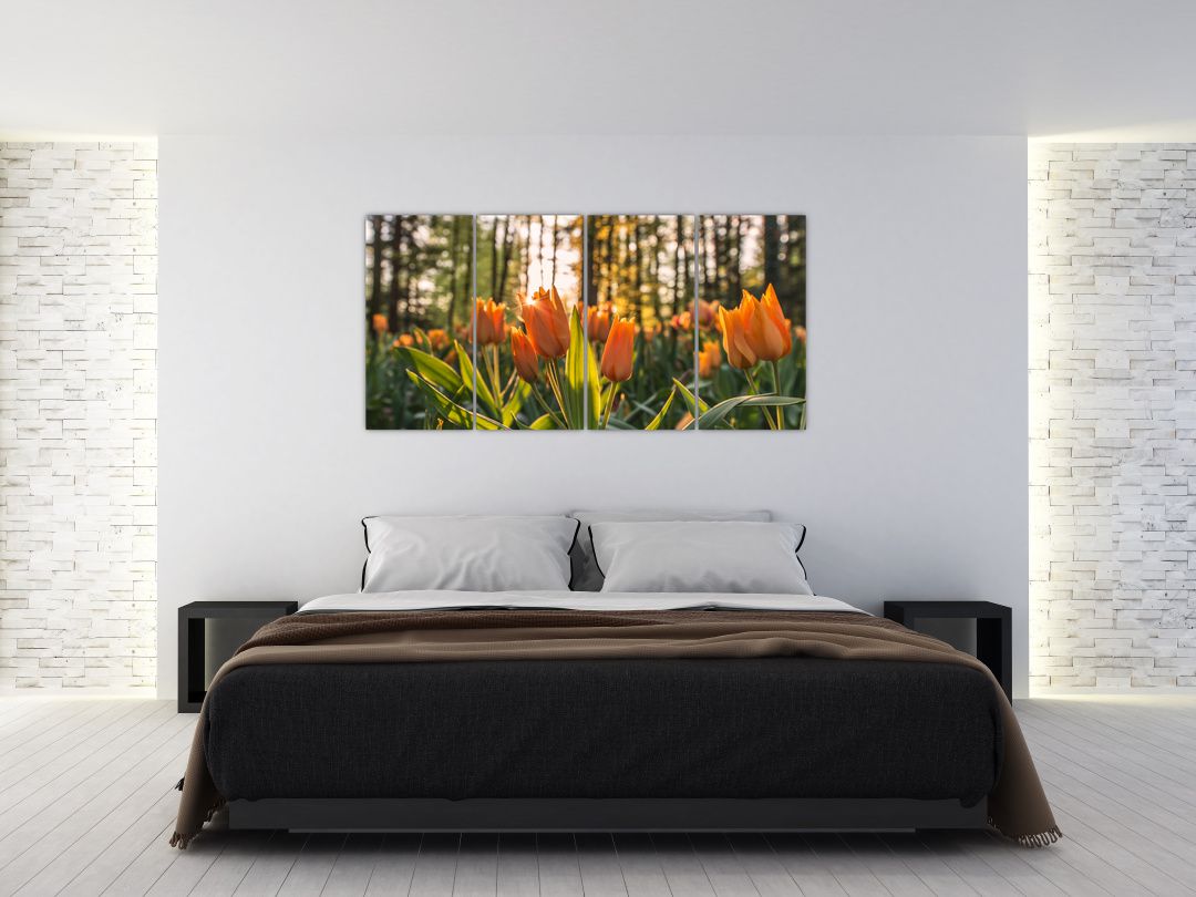 Obraz - oranžové tulipány (V020552V16080)