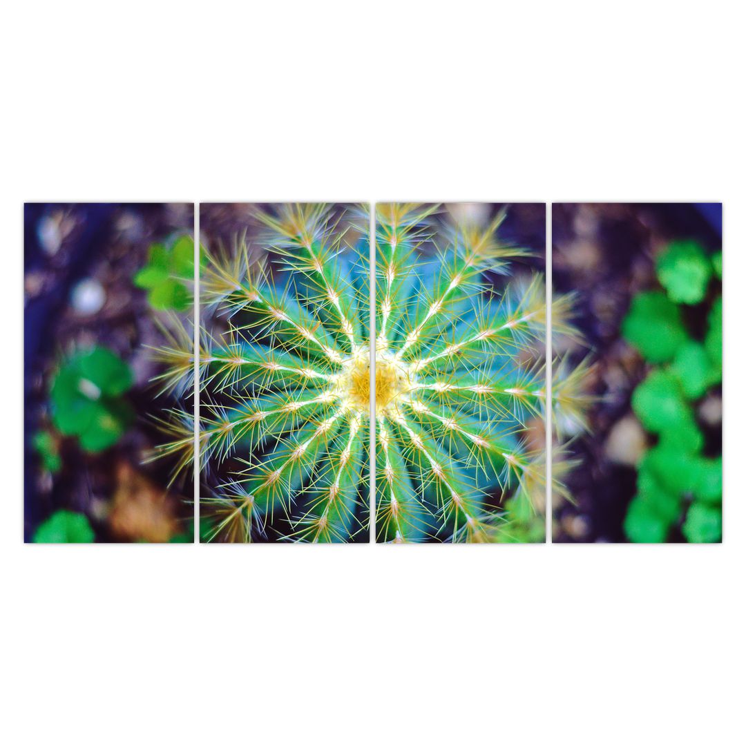 Obraz kaktusu (V020556V16080)