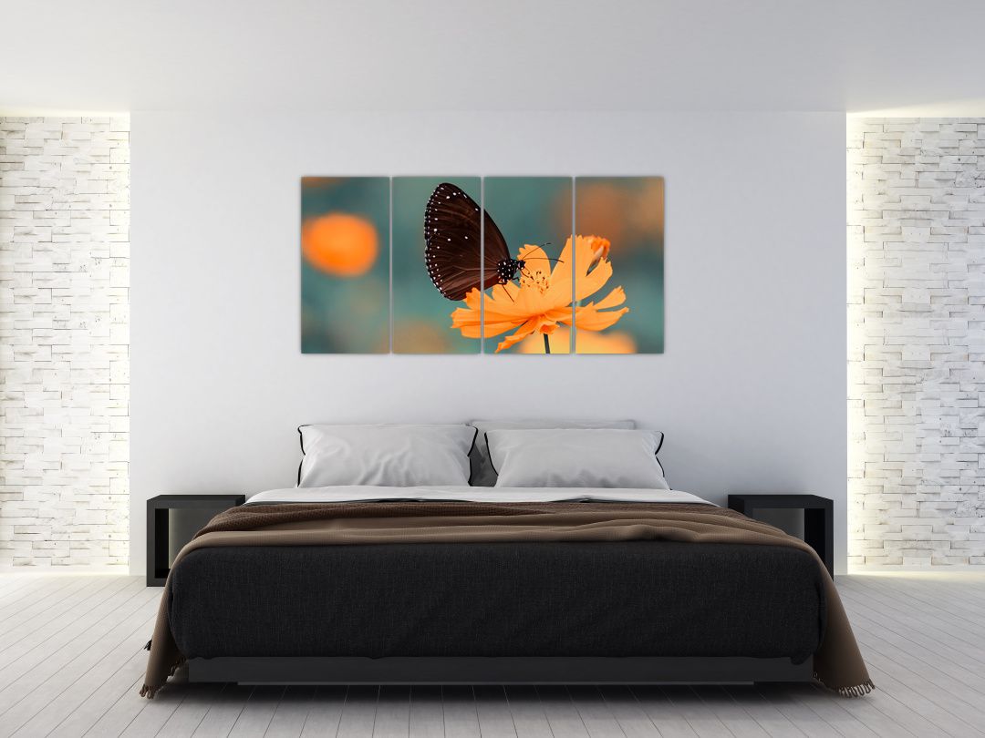 Obraz - motýl na oranžové květině (V020577V16080)