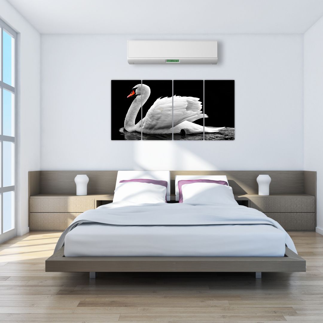 Obraz černobílé labutě (V020586V16080)