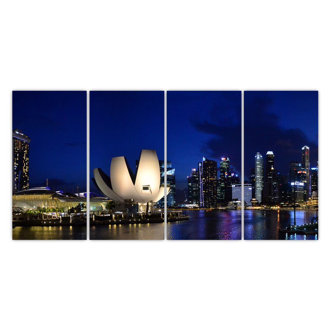 Obraz nočního Singapouru (V020610V16080)