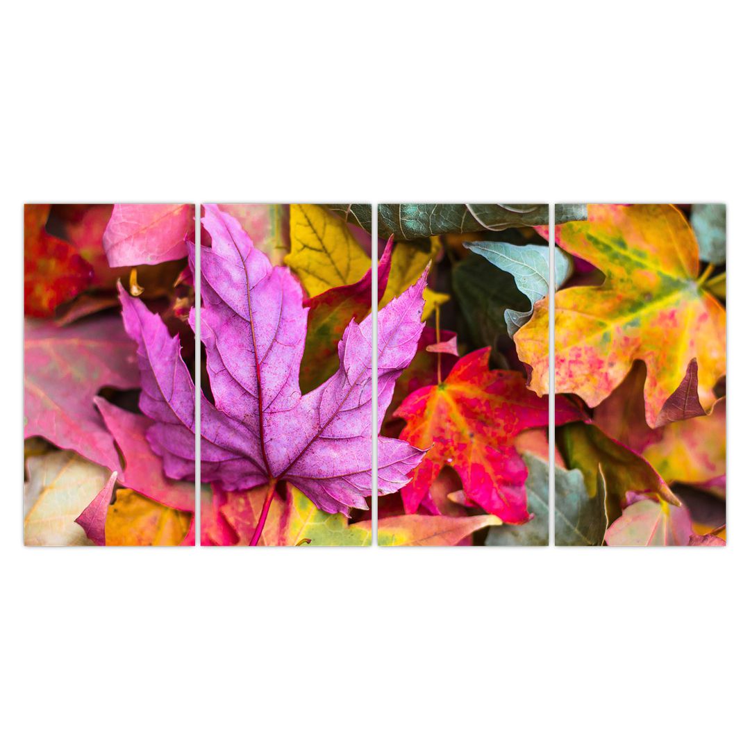 Obraz - podzimní listy (V020629V16080)