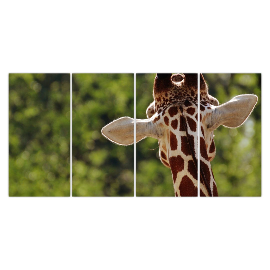 Obraz žirafy zezadu (V020638V16080)
