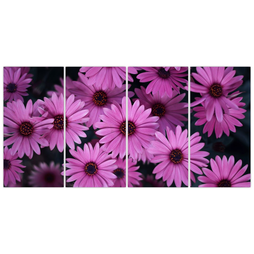 Obraz růžových květů (V020923V16080)