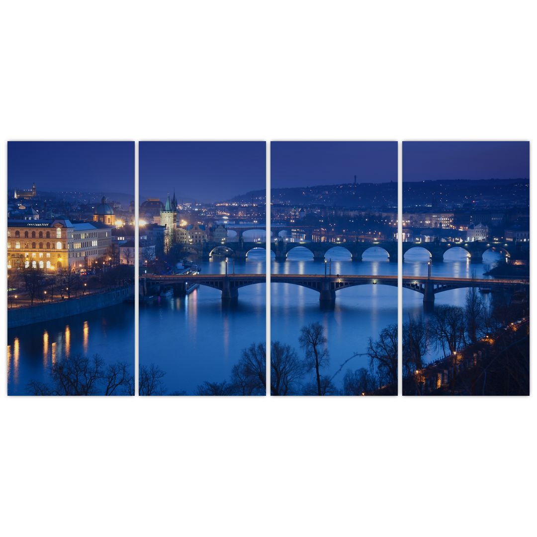 Obraz pražských mostů (V020932V16080)