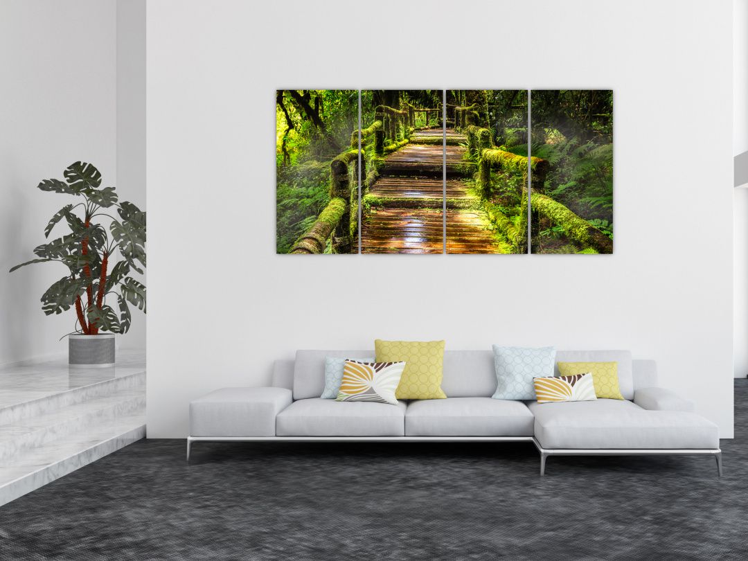 Obraz schodů v deštném pralese (V020941V16080)