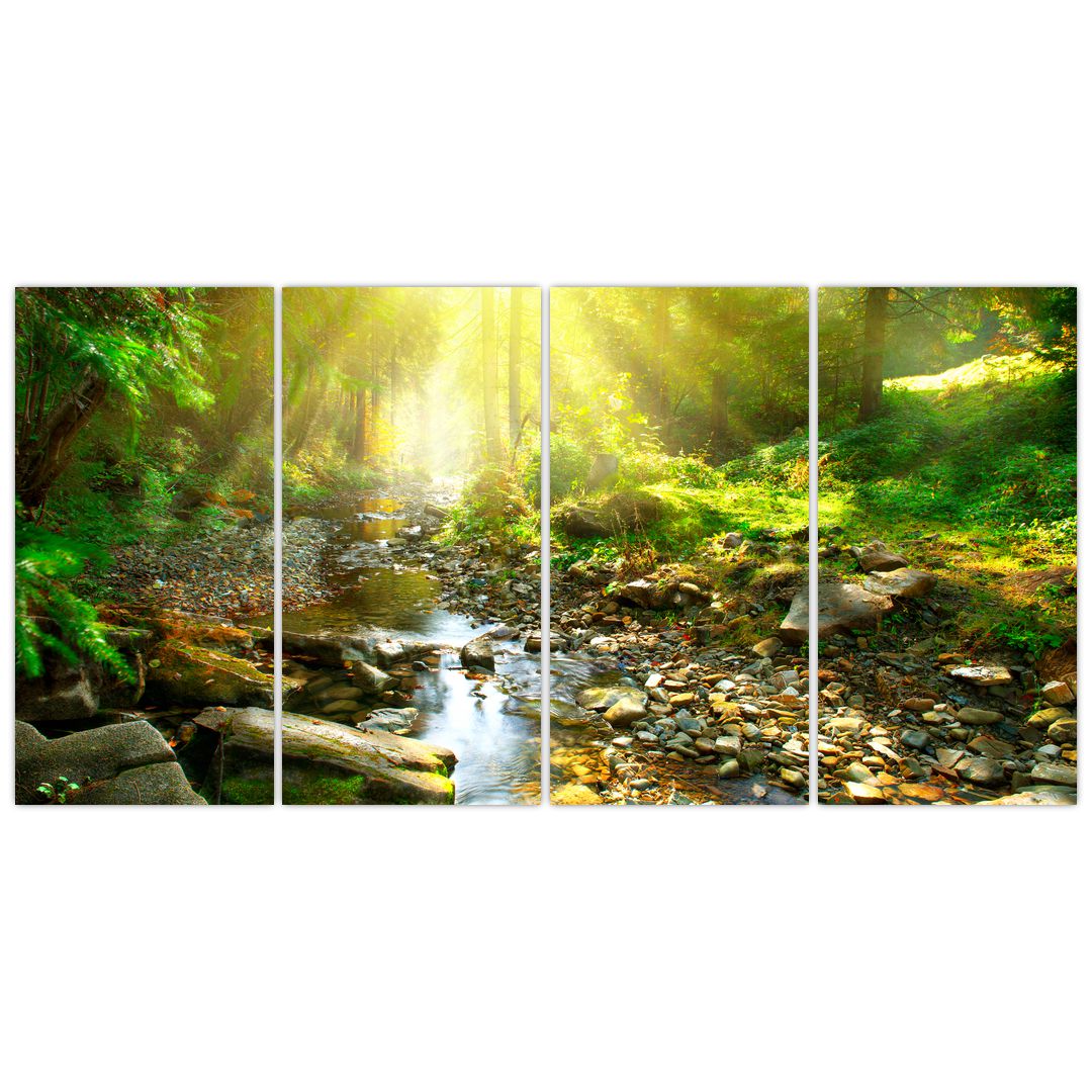 Obraz řeky v zeleném lese (V020942V16080)