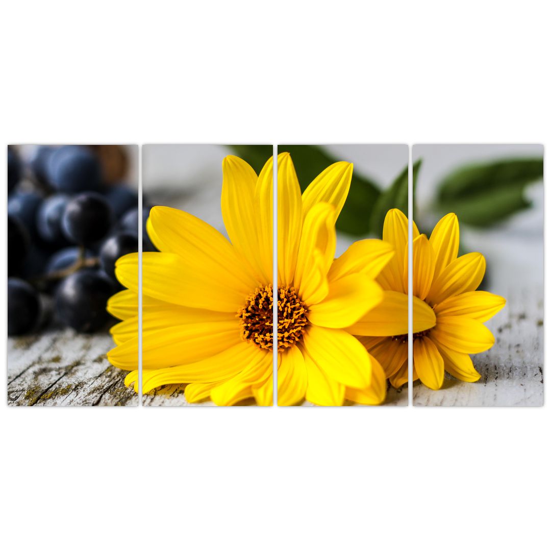Obraz žluté květiny (V020952V16080)