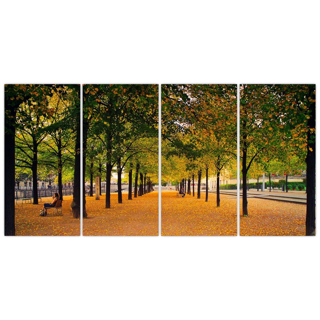 Obraz aleje podzimních stromů (V020953V16080)