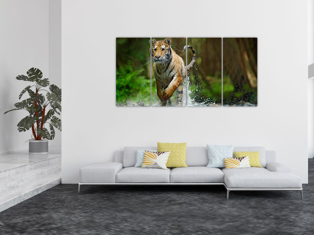 Obraz běžícího tygra (V020979V16080)