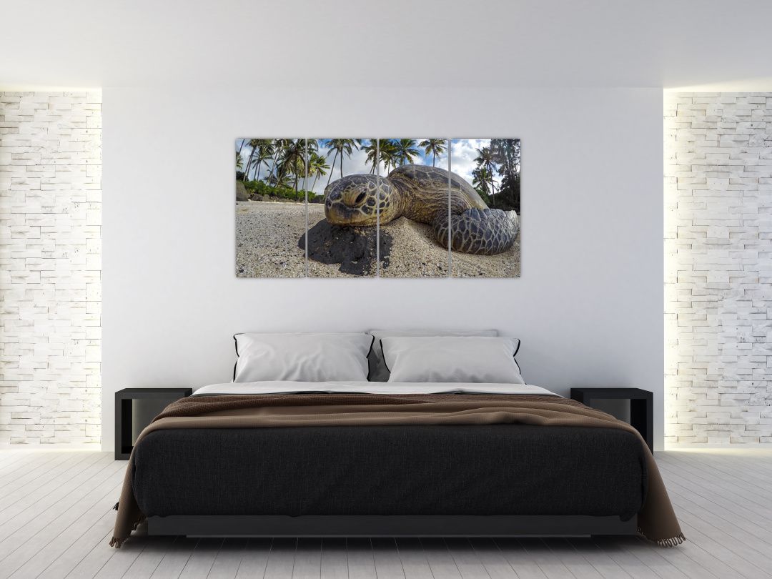 Obraz želvy (V020992V16080)