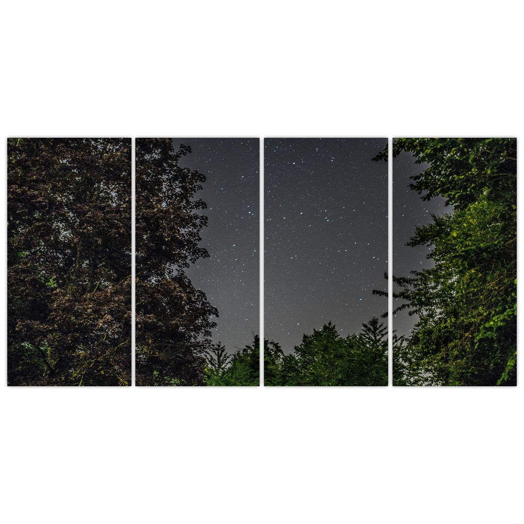 Obraz noční oblohy (V020998V16080)