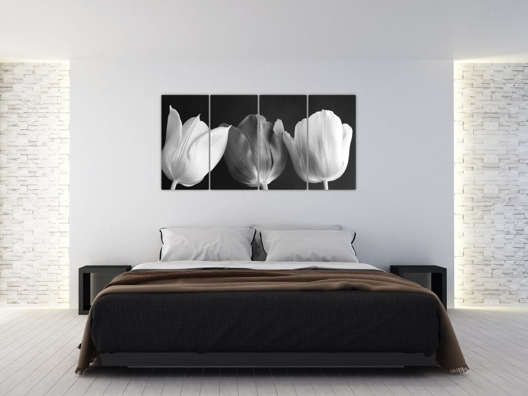 Obraz - Černobílé květy tulipánů (V021916V16080)