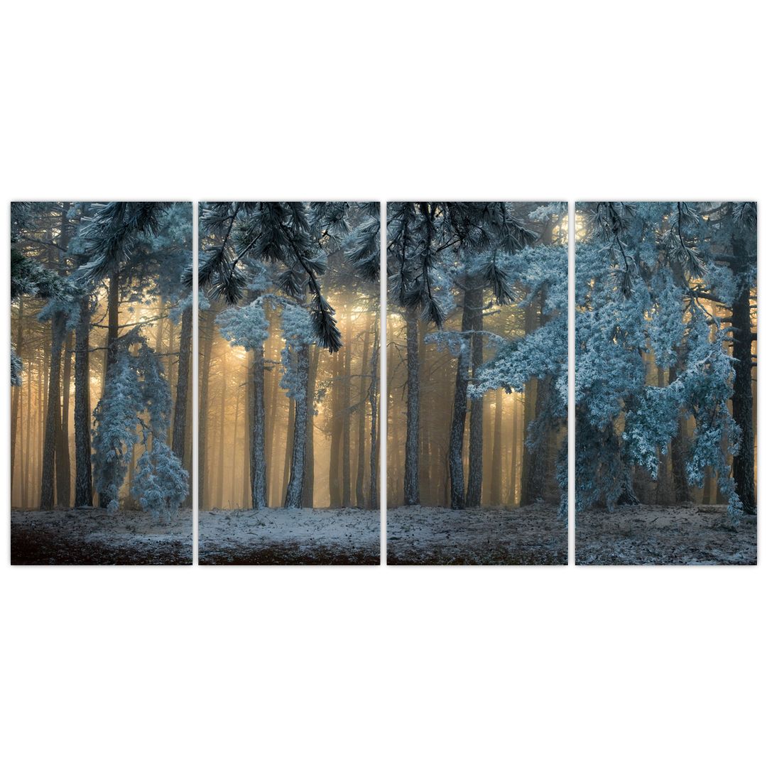 Obraz zasněženého lesa (V022318V16080)