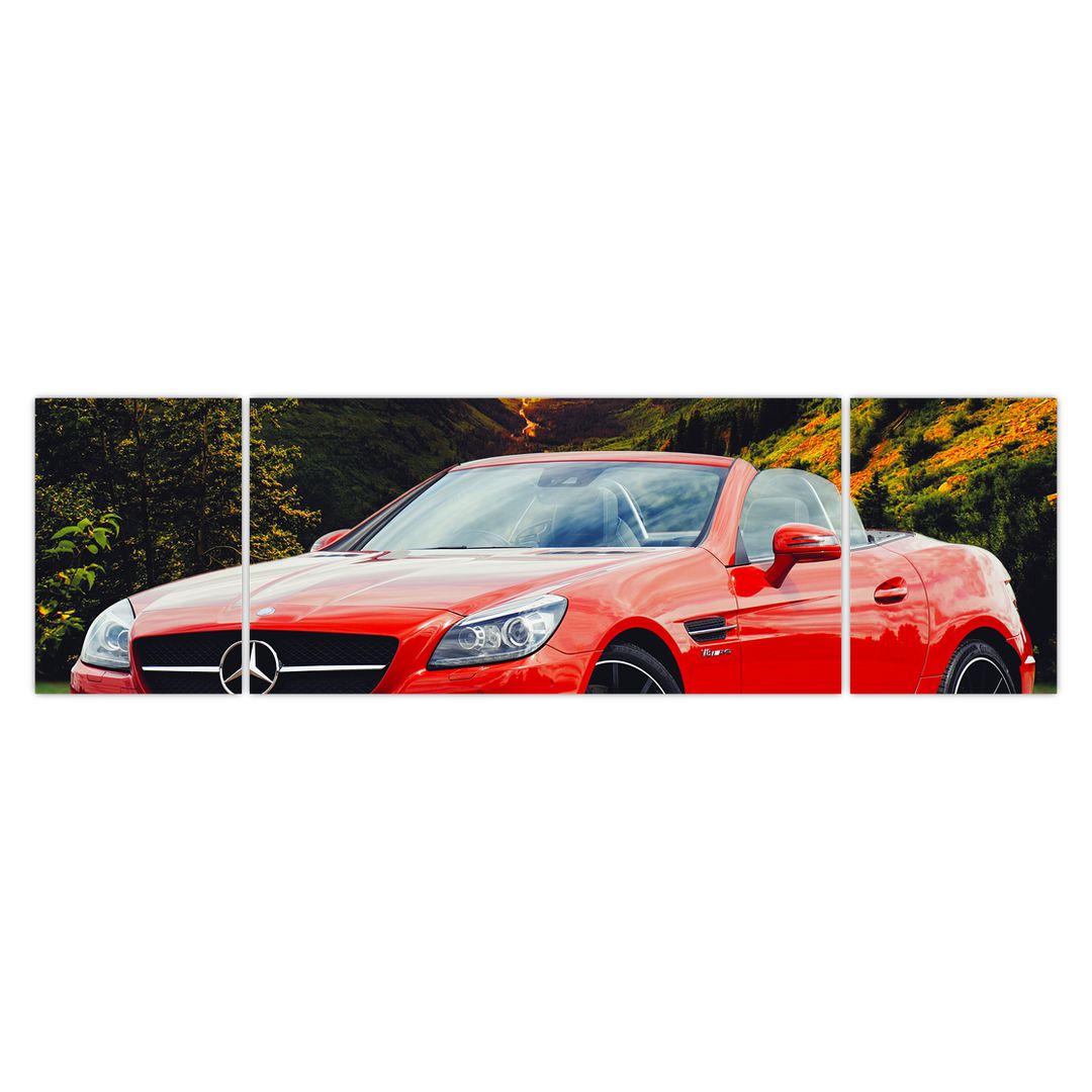 Obraz - červený Mercedes (V020564V17050)