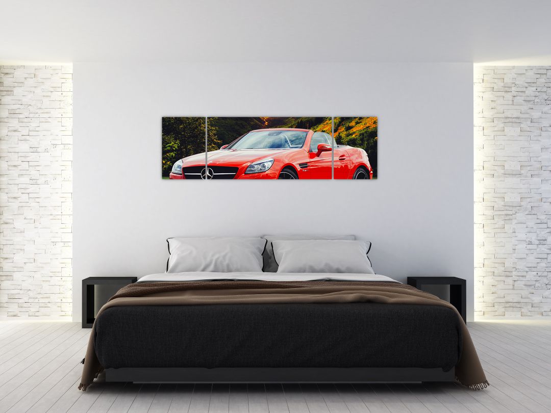 Obraz - červený Mercedes (V020564V17050)