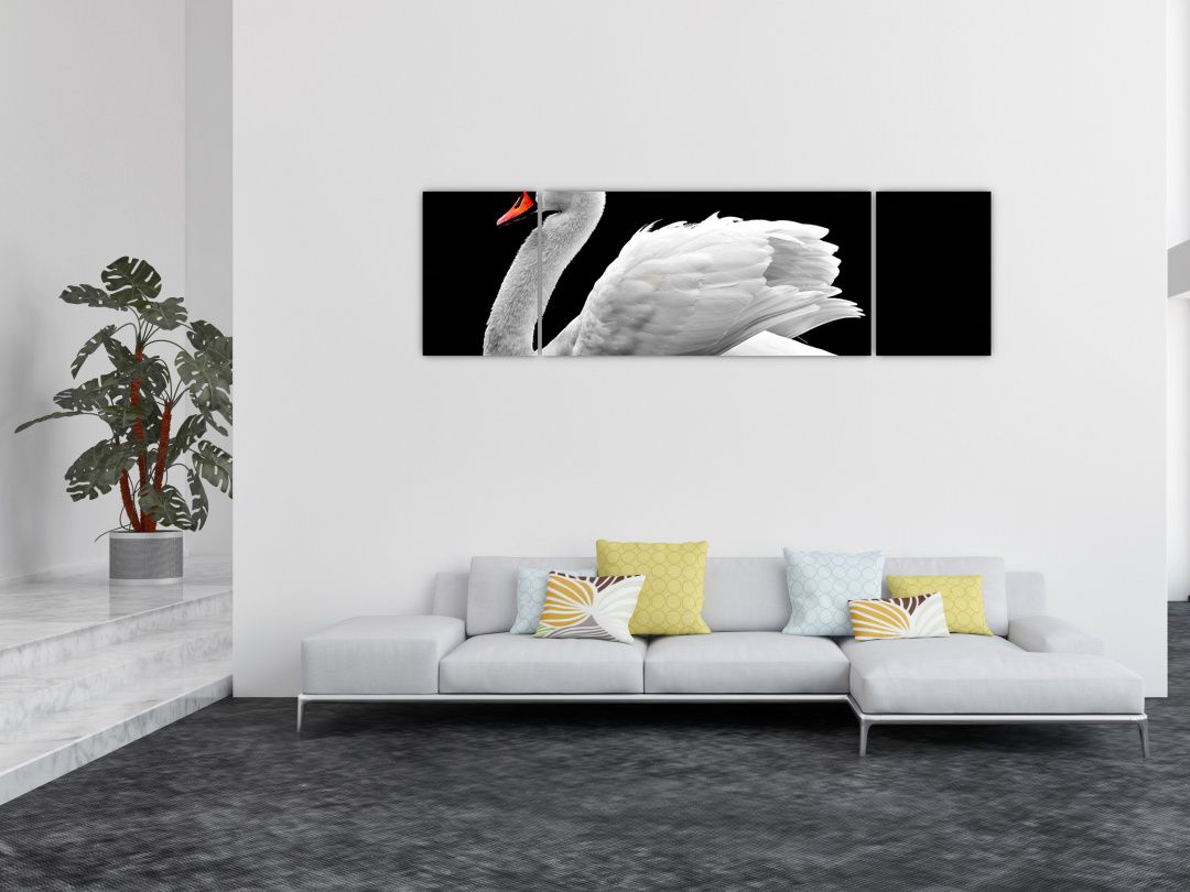 Obraz černobílé labutě (V020586V17050)