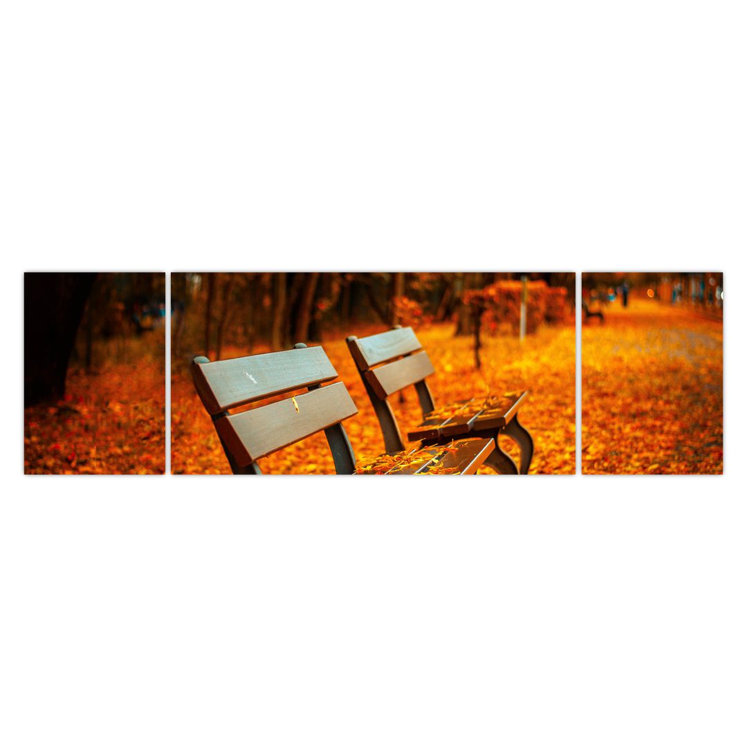 Obraz lavičky v podzimu (V020588V17050)