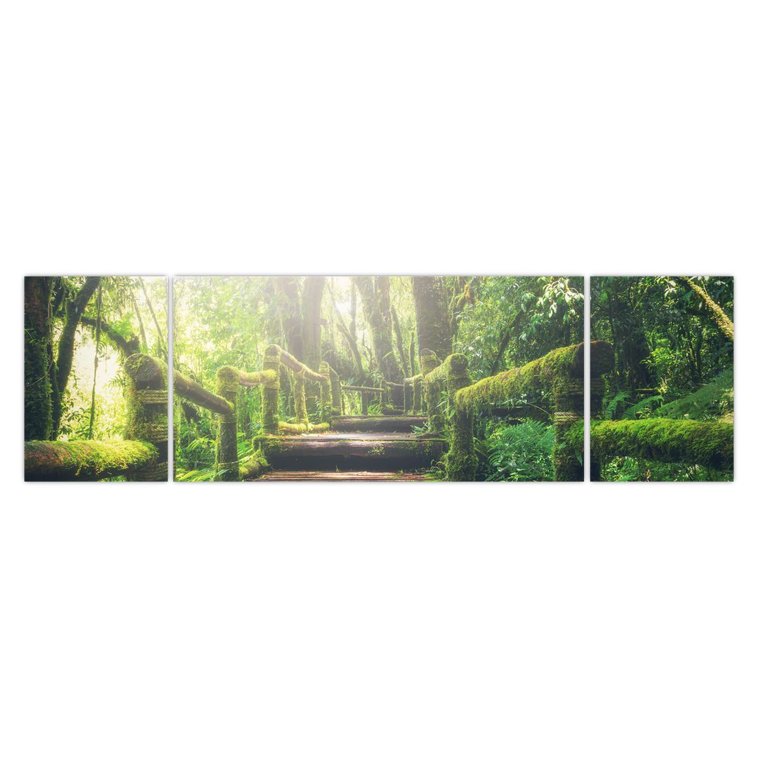 Obraz - dřevěné schody v lese (V020593V17050)