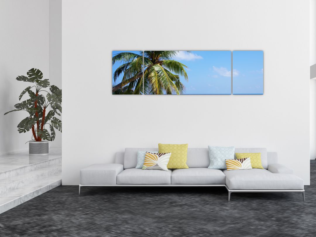 Obraz palmy na pláži (V020612V17050)
