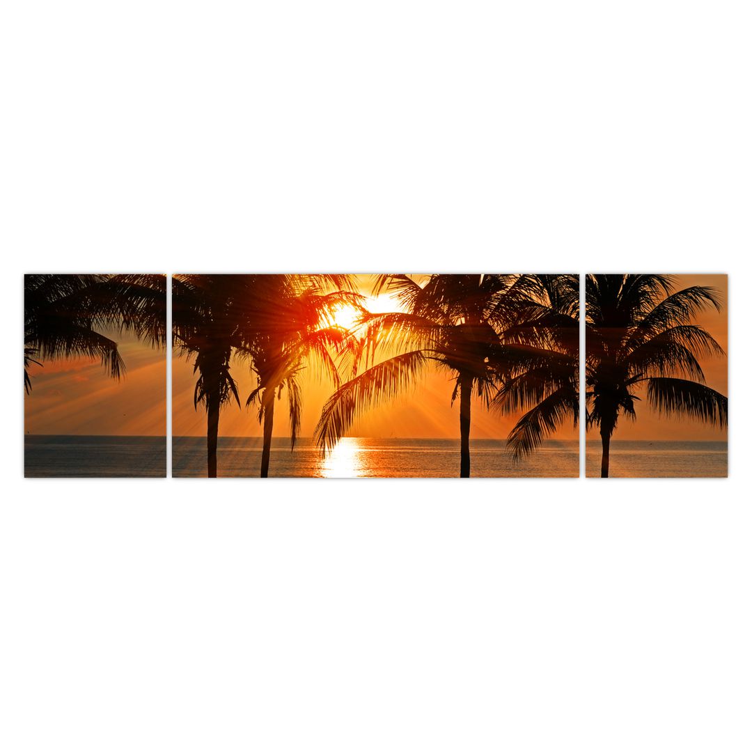 Obraz palmy v západu slunce (V020622V17050)