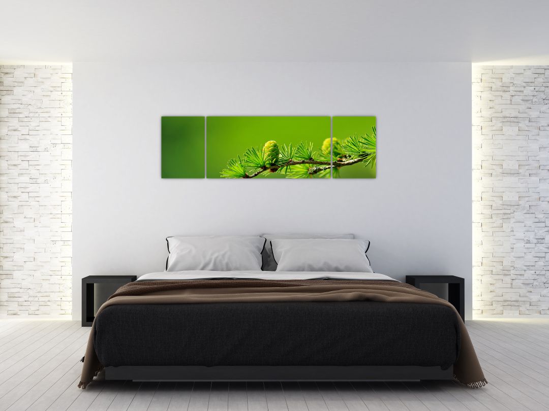 Obraz zelené šišky (V020627V17050)