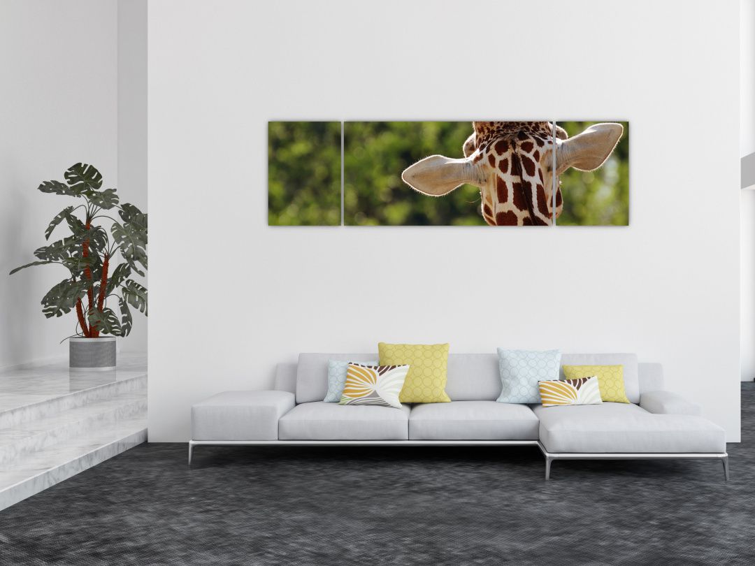 Obraz žirafy zezadu (V020638V17050)