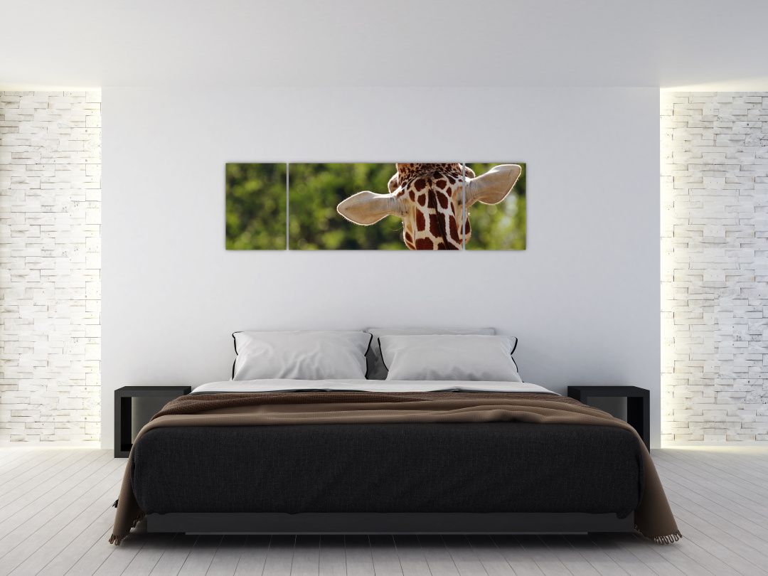 Obraz žirafy zezadu (V020638V17050)