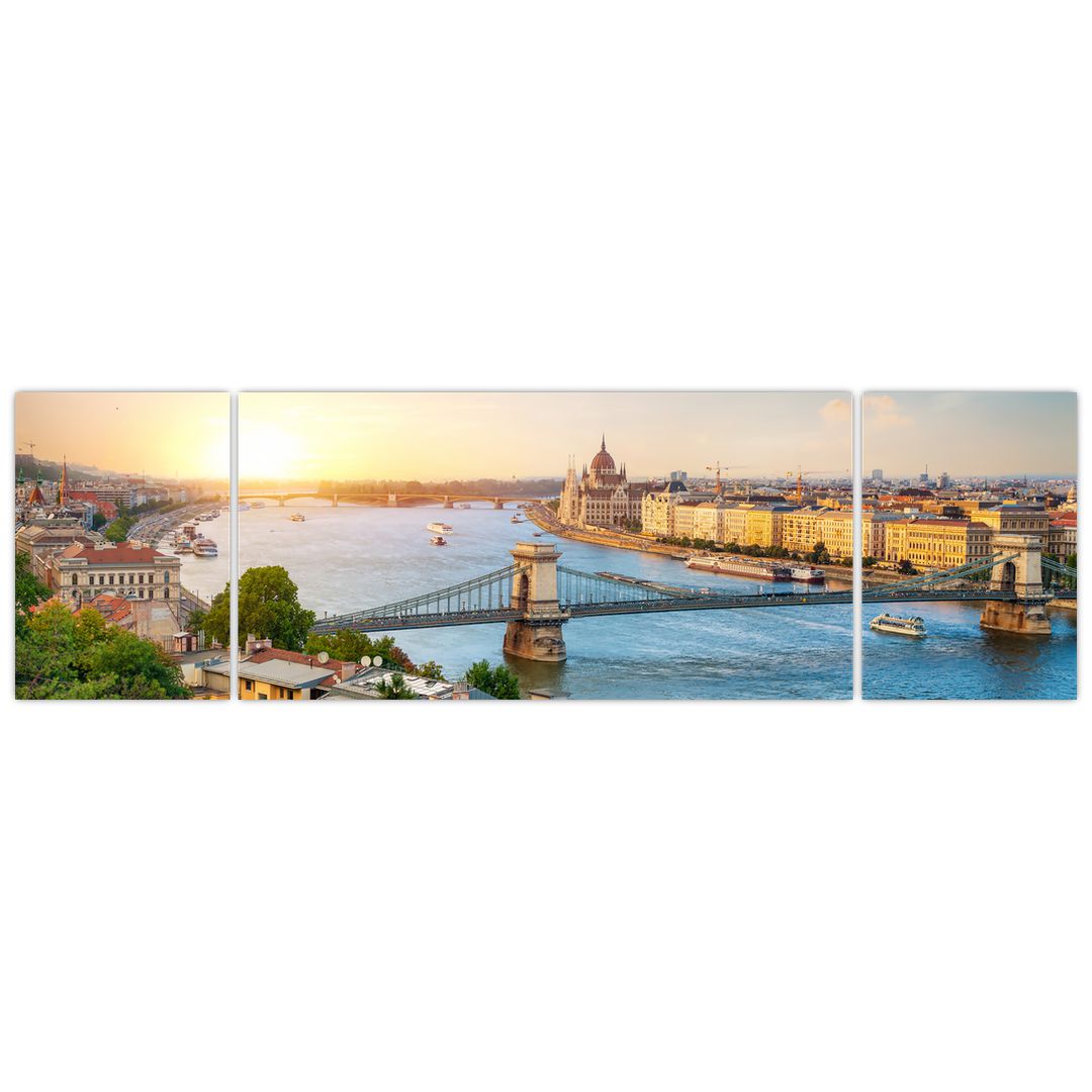 Tablou cu orașul Budapesta și râu (V020712V17050)