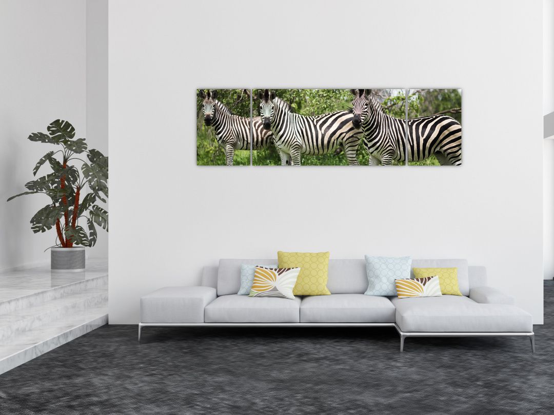 Obraz s zebrami (V020921V17050)