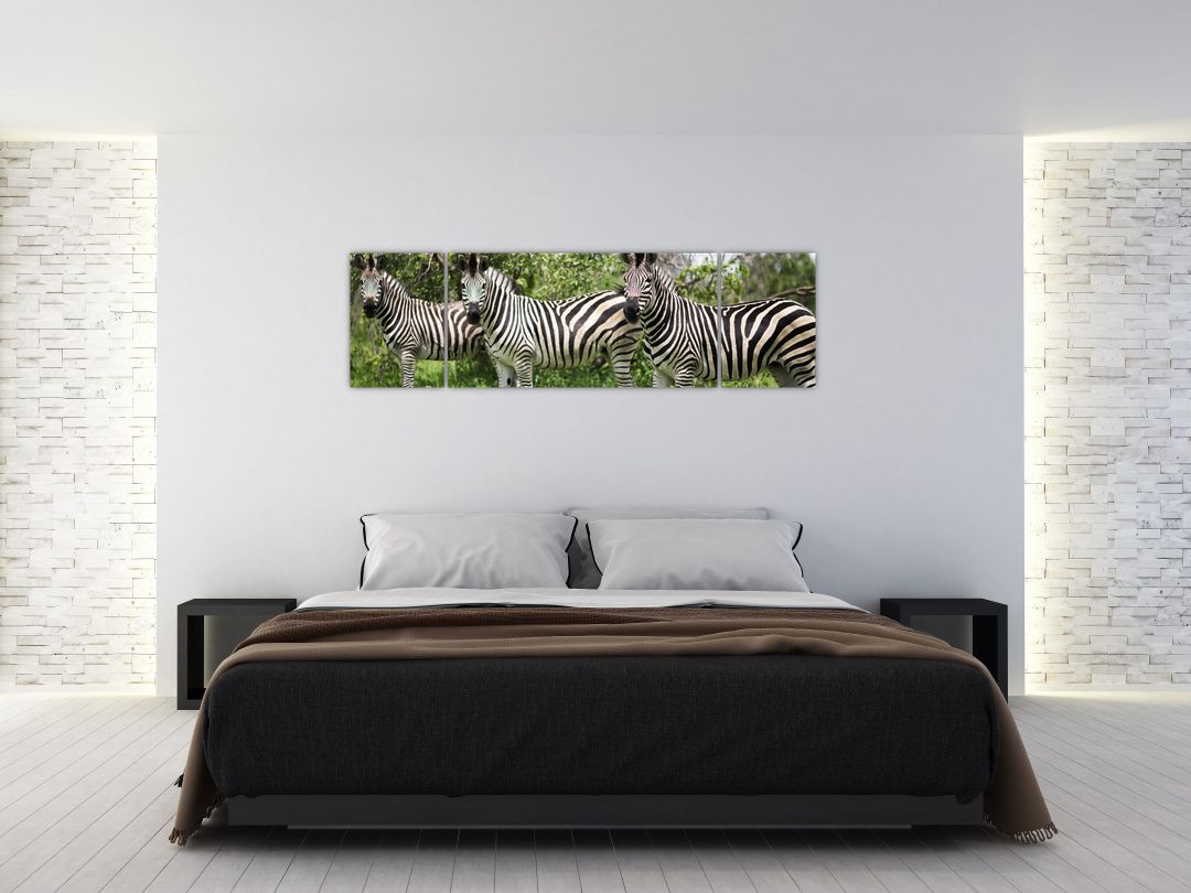 Obraz s zebrami (V020921V17050)