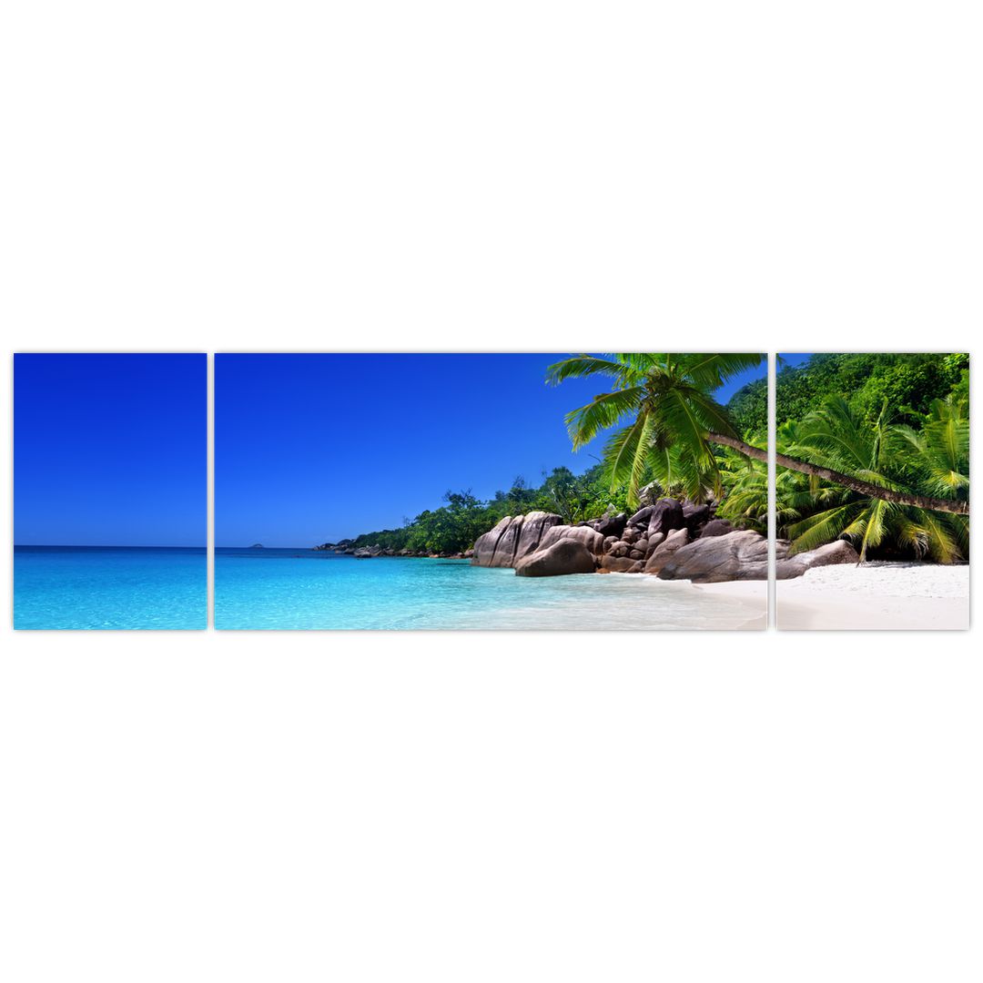 Obraz pláže na Praslin ostrově (V020936V17050)