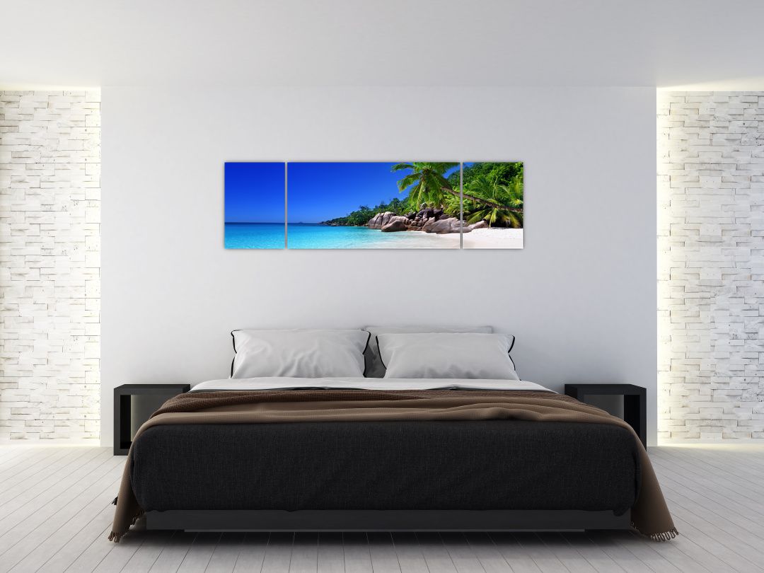 Obraz pláže na Praslin ostrově (V020936V17050)
