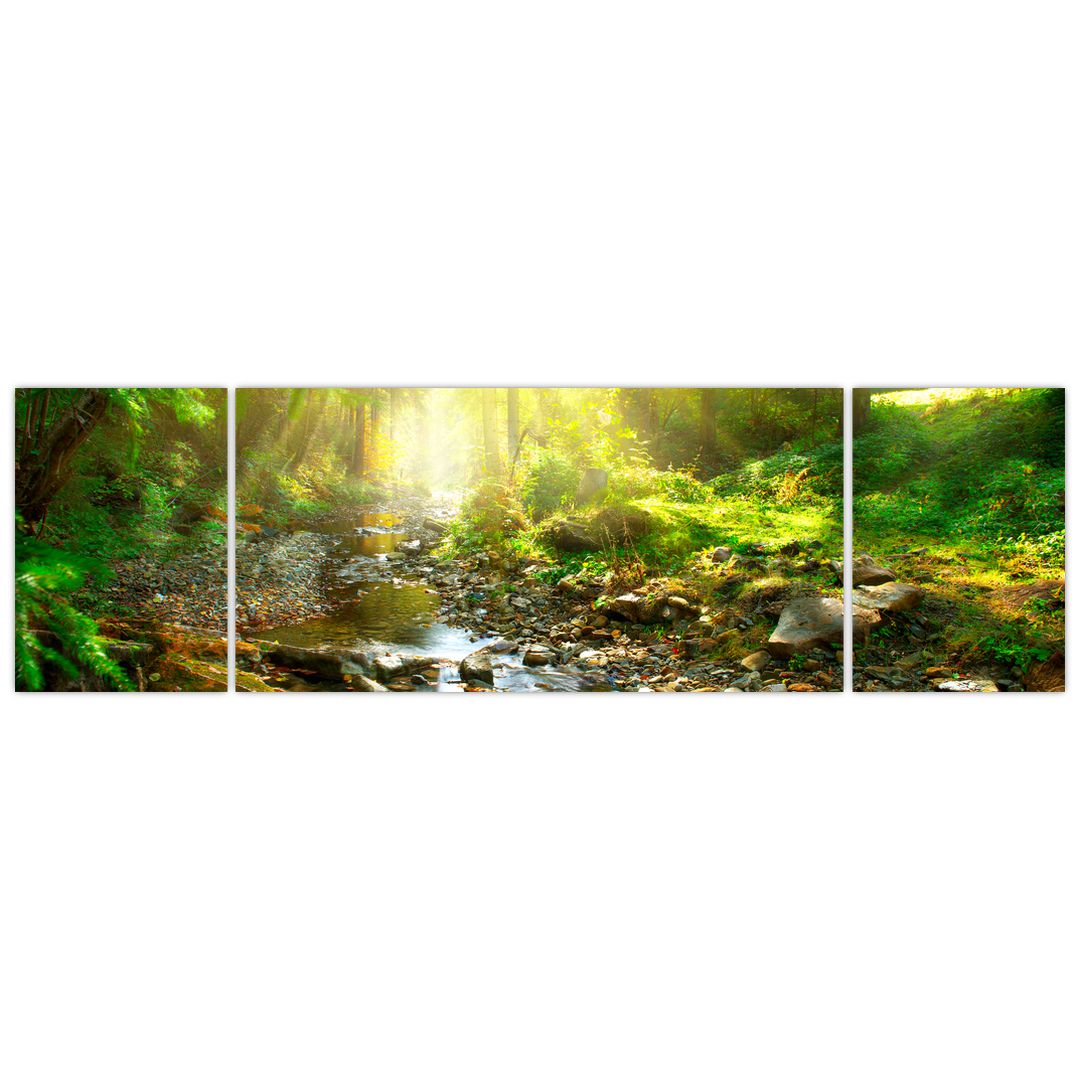Obraz řeky v zeleném lese (V020942V17050)