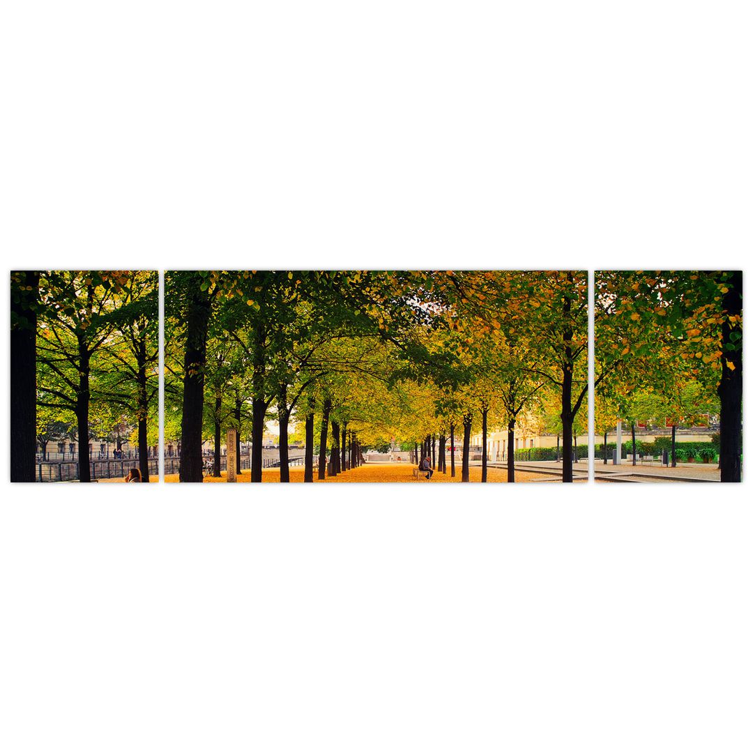 Obraz aleje podzimních stromů (V020953V17050)