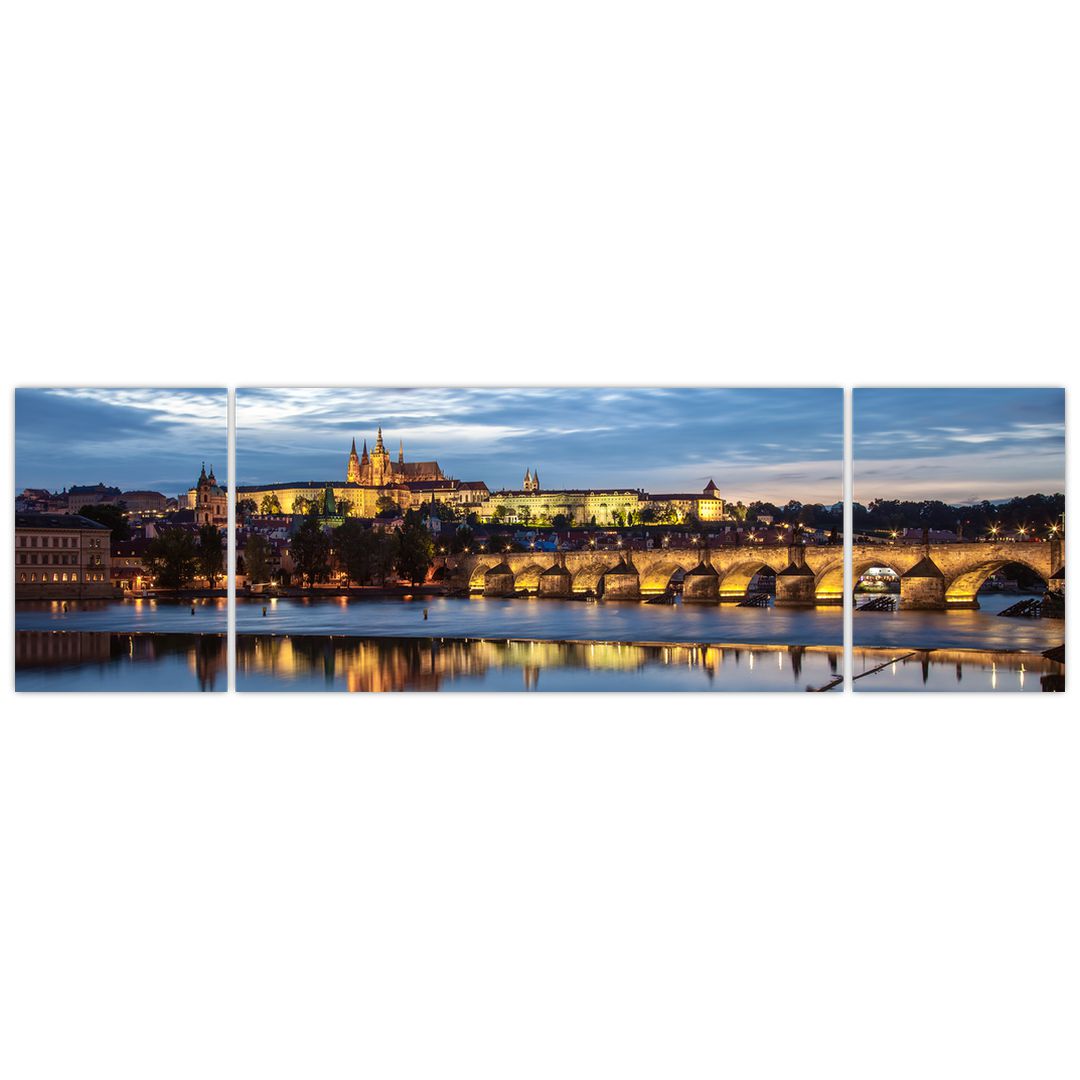 Obraz Pražského hradu a Karlova mostu (V020970V17050)