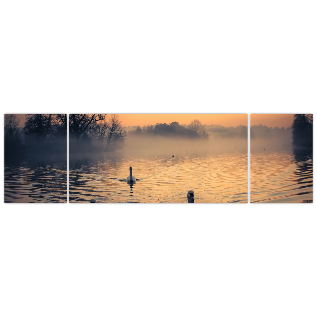 Obraz labutí na vodě v mlze (V020989V17050)