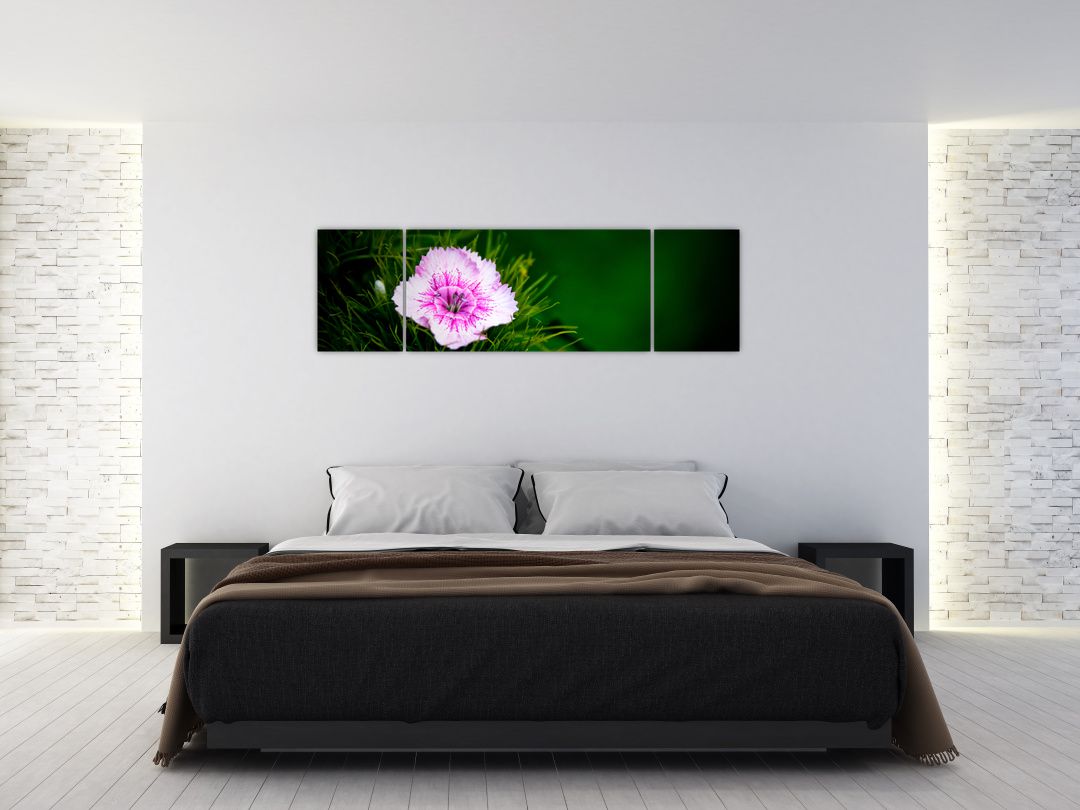 Obraz růžového květu (V020990V17050)