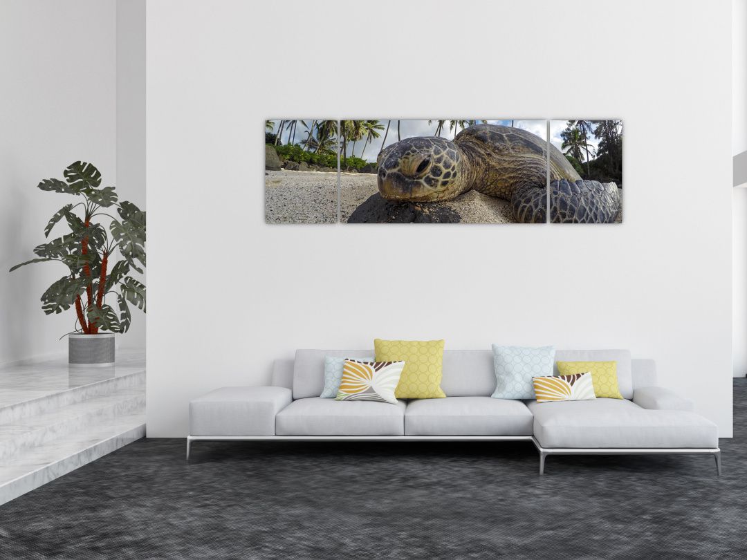 Obraz želvy (V020992V17050)