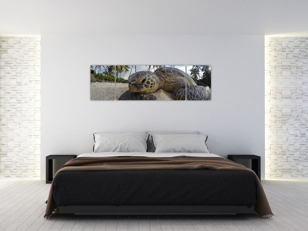 Obraz želvy (V020992V17050)