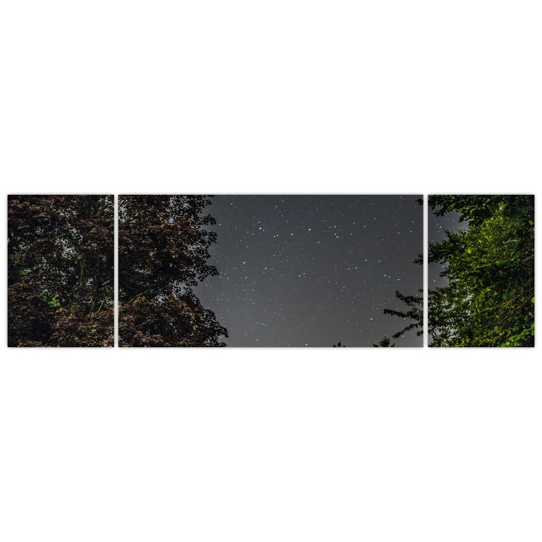 Obraz noční oblohy (V020998V17050)