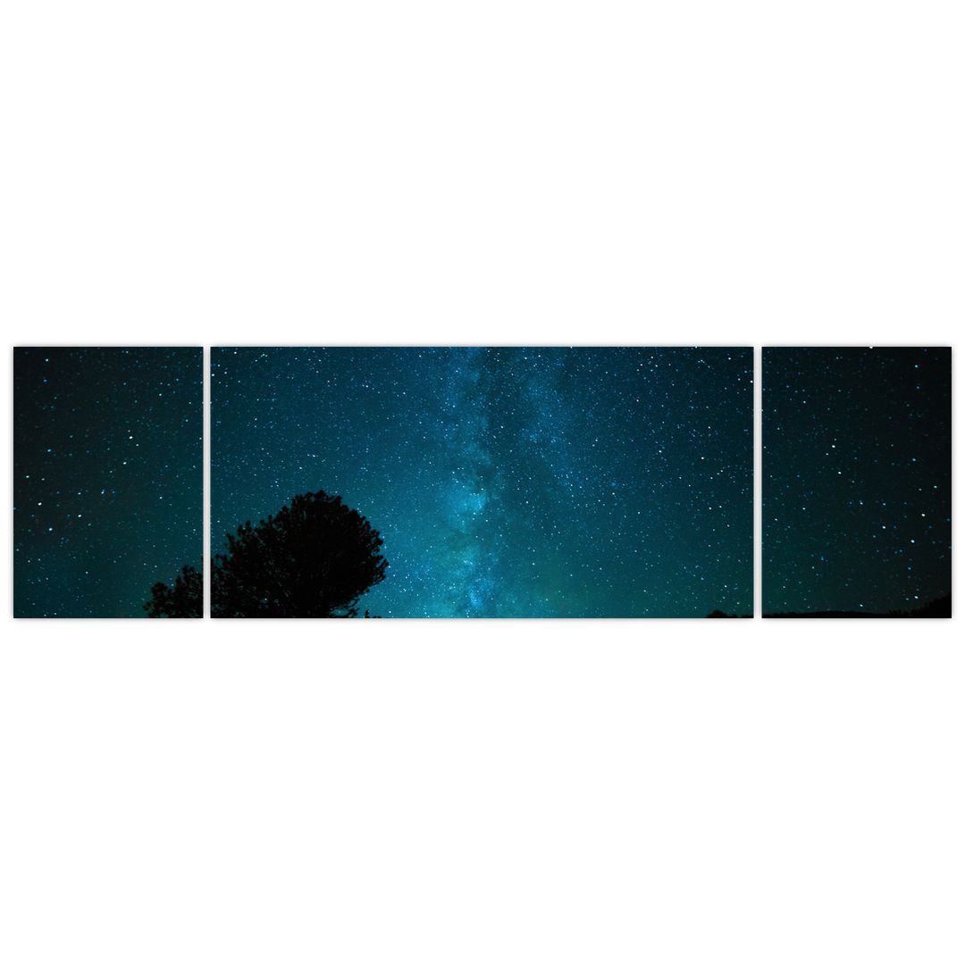 Obraz noční oblohy s hvězdami (V021100V17050)