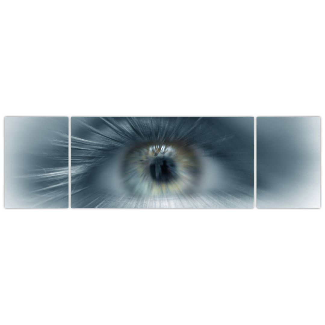 Obraz  - Pohled oka (V022319V17050)