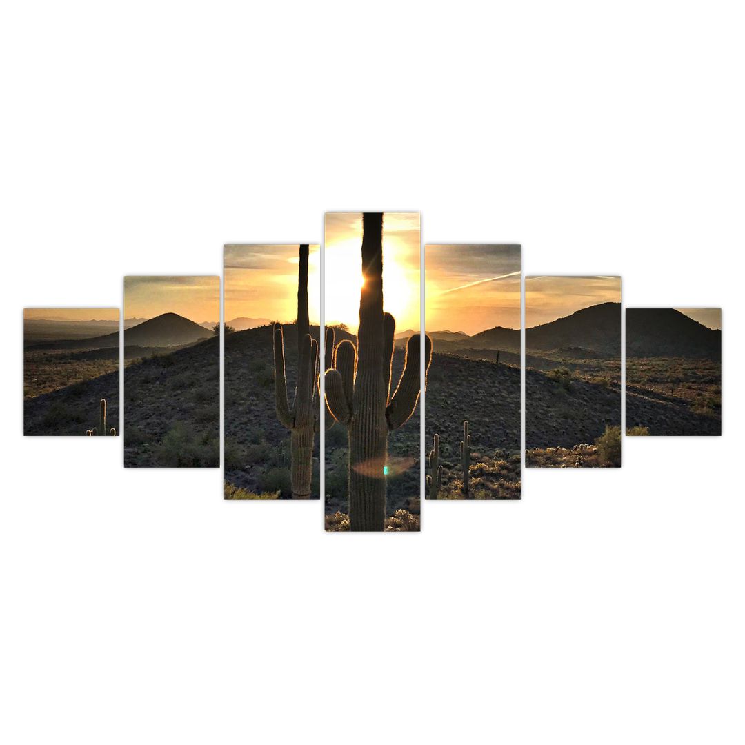 Obraz - kaktusy ve slunci (V020560V210100)